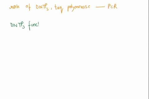 what-role-do-each-of-the-following-play-in-polymerase-chain-reaction-experiments-pcr-dntps-taq-polymerase-21817