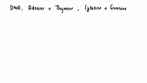 nh-hn-hzn-answer-the-following-questions-about-the-four-dna-nucleobases-shown-above-what-are-the-names-of-the-nucelobases-designated-as-ii-and-iv-4-points-2-points-each-ii-iv-draw-structural-31763