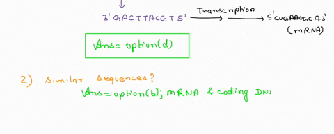 1-given-dna-sequence-5-ctgaatgca-3-which-of-the-answers-below-represents-the-complementary-sequence-in-the-correct-direction-for-this-sequence-group-of-answer-choices-rna-3-tgcattcag-5-dna-5-74956