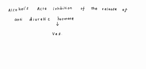 28-what-would-account-for-increased-urine-production-a5-result-of-drinking-alcohol-increased-uldosterone-production-increased-bp-decreased-amount-of-adh-inereased-reubsorption-of-water-in-th-89323