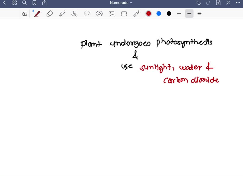 SOLVED How do plants synthesize high energy carbohydrates?