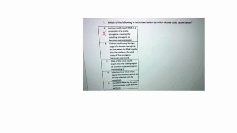 which-of-the-following-is-not-mechanism-by-which-viruses-could-cause-cancer-a-virus-could-insert-dna-in-promoter-of-proto-oncogene-causing-the-resulting-oncogene-to-become-overexpressed-avir-25598