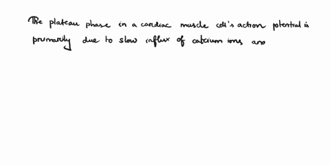 the-plateau-phase-seen-during-the-action-potential-of-a-cardiac-muscle-cell-due-to-what-99497