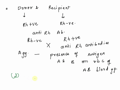 1-for-each-of-the-transfusions-listed-below-determine-if-agglutination-will-occur-explain-your-answers-a-donor-is-ab-receiver-is-b-b-donor-is-b-receiver-is-b-c-donor-is-o-receiver-is-o-d-don-96366