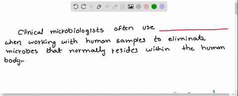 clinical-microbiologists-often-use-when-working-with-human-samples-to-eliminate-microbes-that-normally-reside-within-the-human-body-69458