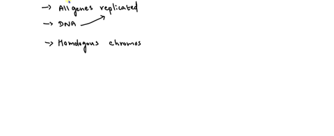 which-of-the-following-is-a-true-statement-about-dna-replication-only-certain-important-genes-are-copied-during-dna-replication-only-one-of-each-pair-of-homologous-chromosomes-is-replicated-49798
