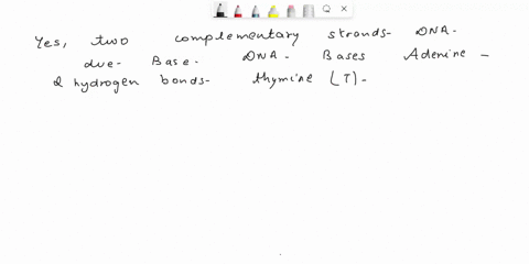will-two-complementary-strands-of-dna-spontaneously-bind-together-16225