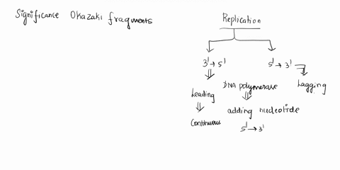 define-and-indicate-the-significance-of-a-okazaki-fragments-b-dna-ligase-and-c-primer-rna-during-dna-62339