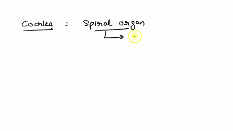 in-which-part-of-the-ear-cochlea-is-present-a-inner-ear-b-middle-ear-c-outer-ear-d-brain