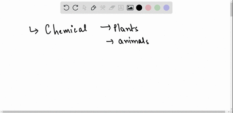 true-or-false-cellular-respiration-is-a-chemical-reaction-that-occurs-in-both-plant-and-animal-cells-all-cells-release-energy-from-food-through-cellular-respiration-true-false-this-is-7th-gr-15598