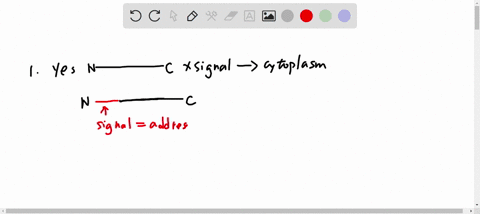 10-a-signal-peptidase-is-an-er-resident-protein-which-cleaves-the-signal-peptide-sequence-after-a-protein-is-translocated-in-er-do-you-think-a-signal-peptidase-will-be-synthesized-with-a-sig-45756