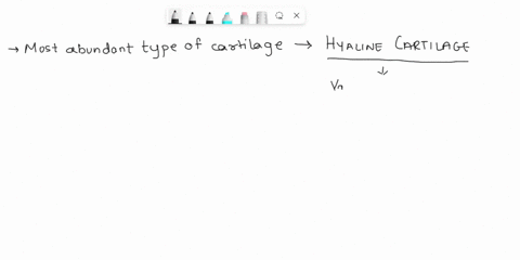 which-type-of-cartilage-is-the-least-abundant-where-is-this-type-of-cartilage-found-87245