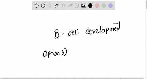 which-statement-is-not-correct-regarding-b-cell-development-choose-one-1-b-cells-complete-maturation-in-the-spleen-2-b-cells-are-mostly-developed-but-still-immature-when-they-leave-the-bone-02624