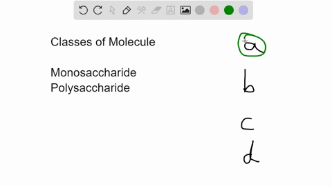 a-molecule-consists-of-a-chain-of-glucose-monomers-linked-together-what-type-molecule-is-this-a-carbohydrate-b-protein-c-nucleic-acid-d-lipid-54246