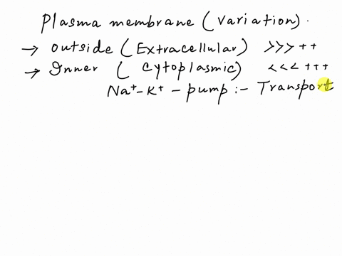 you-know-that-the-outside-of-the-plasma-membrane-is-more-positive-than-the-inside-describe-how-this-charge-differential-is-formed-by-the-nak-pump-30409