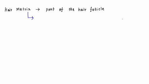 the-hair-matrix-contains-_______-a-the-hair-follicle-b-the-hair-shaft-c-the-glassy-membrane-d-a-laye-85946