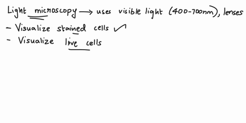 which-of-the-following-are-correct-descriptions-of-light-microscopy-choose-all-that-apply-there-are-3-correct-answers-you-will-lose-points-from-the-total-correct-for-incorrect-answers-this-i-04029