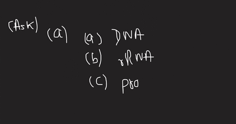 question-17-in-which-of-these-polymers-are-the-monomers-added-one-ata-time-dna-rrna-protein-all-if-these-polymers-arc-produced-by-monomers-addcd-onc-ata-time-question-18-which-of-the-followi-65129