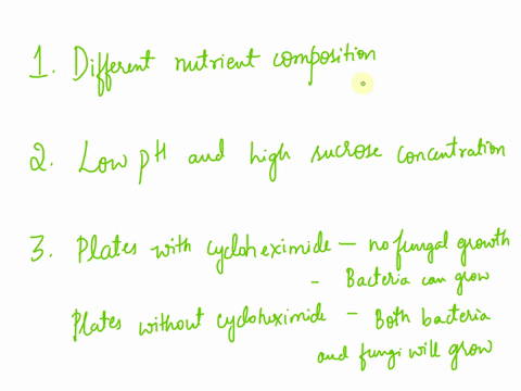 what-is-the-basis-of-the-morphological-differences-seen-between-s-salivarius-colonies-grown-on-syta-versus-those-grown-on-gyc-what-characteristics-of-sabourauds-agar-determine-which-microorg-92324