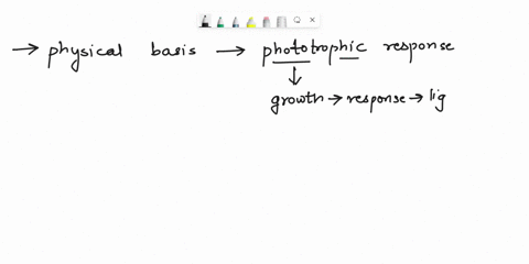 what-is-the-physical-basis-of-the-phototropic-response-40986