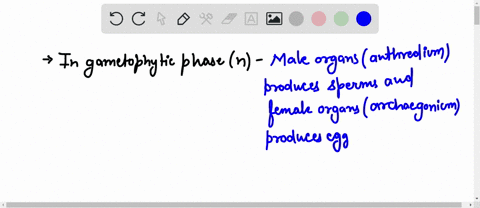 which-of-the-following-structures-produce-eggs-and-sperm-explain-your-answer-a-fern-sporophytes-b-mo-38657