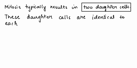 mitosis-results-in-how-many-cells-are-they-different-or-identical-what-kind-of-cells-do-mitosis-99753