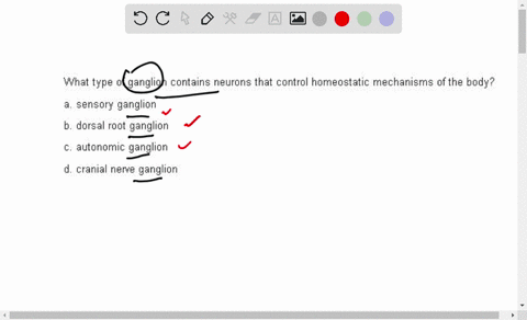 what-type-of-ganglion-contains-neurons-that-control-homeostatic-mechanisms-of-the-body-a-sensory-gan-66525