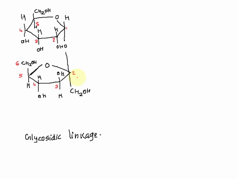 refer-to-the-disaccharide-below-to-answer-the-following-questionts-cilohi-ho-oh-moch-ho-choh-ch-the-disaccharide-above-contains-aln-glycosidic-linkage-a-26-8-1-0-2-0-14-b-12-0-18-2-06407