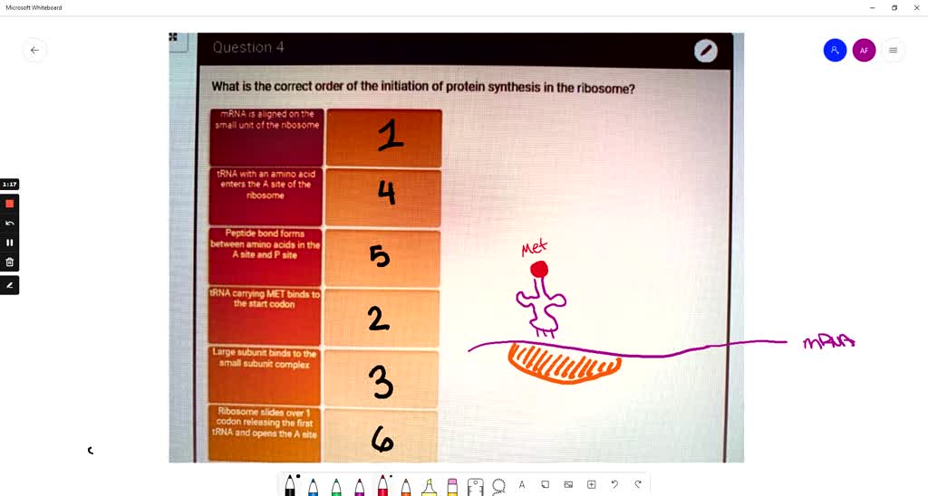 SOLVED QUESTION 4 Translational Initiation In Prokaryotes Is Based On frontiers-prospects-for-fertility-preservation-the-ovarian-organ