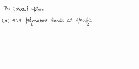 the-difference-between-rna-polymerase-and-dna-polyrnerase-is-that-04-dna-polymerase-requires-the-dna-to-be-in-a-specific-configuration-0-b-rna-polymerase-binds-at-specific-sites-0-the-dna-cd-58177