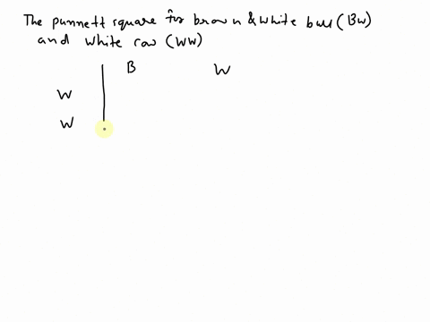 in-cattle-the-gene-for-brown-fur-and-white-fur-are-co-dominant-cattle-that-are-heterozygous-have-brown-and-white-hair-complete-the-punnett-square-for-a-brown-and-white-bull-and-a-white-cow-w-30944