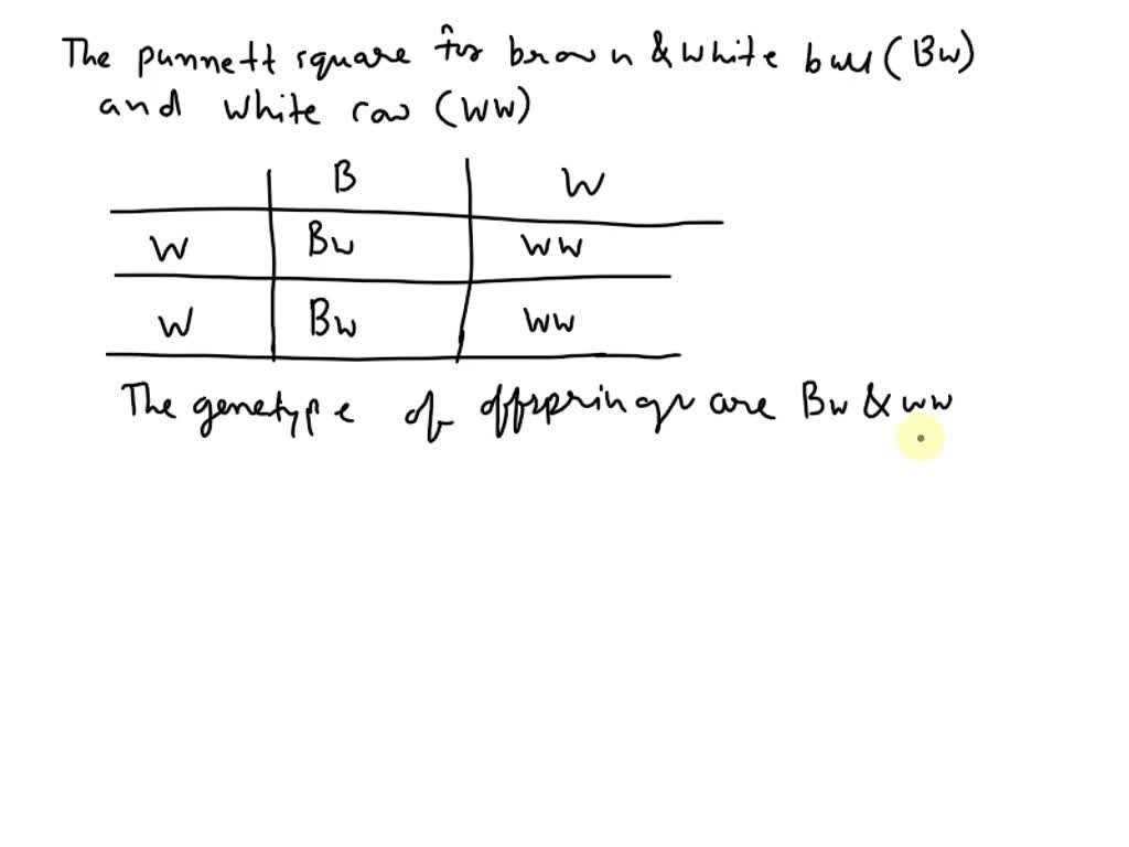 SOLVED: In cattle, the gene for brown fur and white fur are co-dominant ...