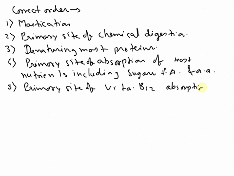 question-11-15-question-11ordering-put-the-following-processes-in-order-primary-site-of-chemical-digestion-primary-site-of-consolidation-of-feces-primary-site-of-vitamin-b12-absorption-along-83059