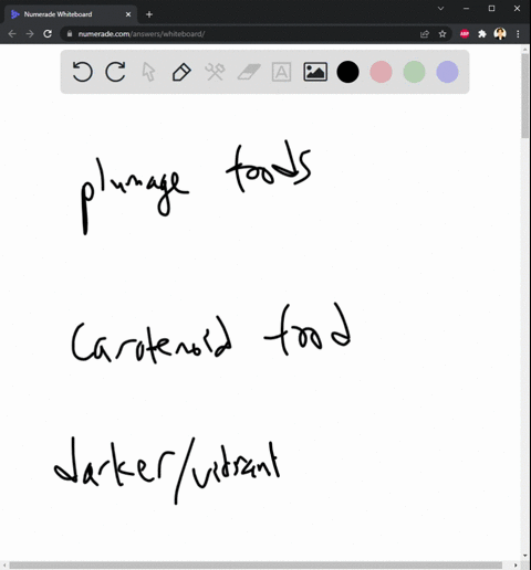 if-you-could-design-some-behavioral-endocrinology-experiments-to-add-to-the-integrative-work-on-plumage-and-carotenoid-food-in-finches-discussed-in-this-chapter-what-sort-of-experiments-woul-41776
