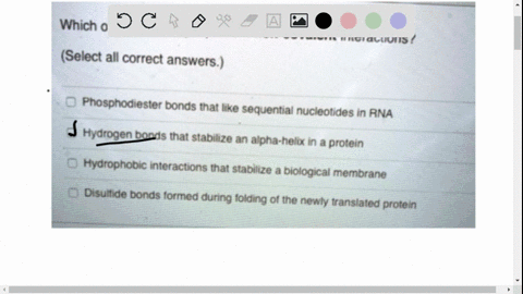 question-4-which-of-the-following-represent-non-covalent-interactions-select-all-correct-answers-phosphodiester-bonds-that-iike-sequential-nucleotides-in-rna-d-hydrogen-bonds-that-slabilize-28604