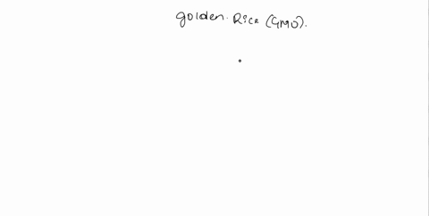 golden-rice-is-a-genetically-modified-organism-gmo-which-of-the-following-steps-was-not-involved-in-the-development-of-this-gmo-targeted-knockout-of-wild-type-genes-in-the-genetically-modifi-72197