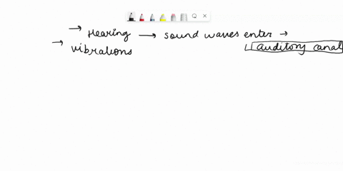 sound-waves-to-nerve-impulses-complete-the-following-statements-to-describe-the-mechanism-by-which-sound-is-converted-from-waves-in-the-outer-ear-to-nerve-tmpulses-in-the-inner-ear-not-all-c-54238