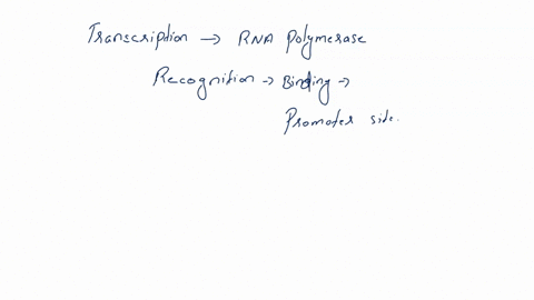 during-transcription-which-molecule-allows-the-rna-polymerase-enzyme-recognition-and-binding-to-the-promoter-site-a-okazaki-fragment-b-repressor-c-beta-factor-d-sigma-factor-e-delta-factor-13098
