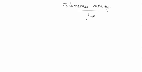 what-type-of-body-cell-does-not-exhibit-telomerase-activity-a-adult-stem-cells-b-embryonic-cells-c-g-98734