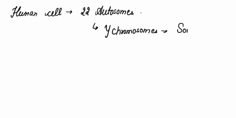 athuman-cell-containing-22-autosomes-and-a-y-chromosome-is-4c-ul-alsperm-a-a-zygot-b-an-egg-a-somatic-cell-of-male-100-64952