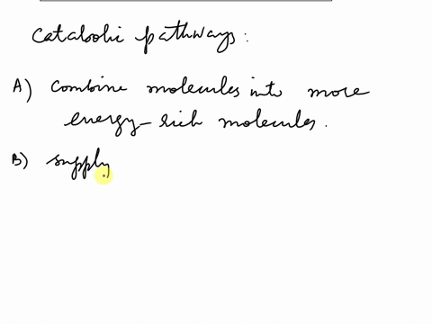 catabolic-pathways-_____-a-combine-molecules-into-more-energy-rich-molecules-b-supply-energy-primarily-in-the-form-of-atp-for-the-cells-work-c-are-endergonic-d-are-spontaneous-and-do-not-nee-44342