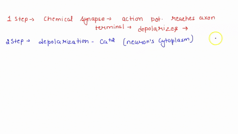 the-following-steps-refer-to-various-stages-in-transmission-at-a-chemical-synapse-neurotransmitter-binds-with-receptors-associated-wiith-the-postsynaptic-membrane_-2-calcium-ions-rush-into-n-82346