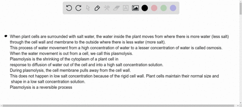 what-happened-to-the-elodea-leaf-when-salt-was-added-to-the-slide-im-which-direction-did-water-move