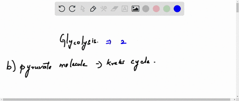 which-statement-about-glycolysis-is-correct-glycolysis-cannot-proceed-under-anaerobic-conditions-resulting-pyruvate-molecules-are-always-directly-incorporated-into-the-krebs-cycle-a-proton-g-67277