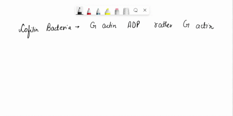 cofilin-binds-preferentially-to-g-actin-adp-rather-than-g-actin-atp-in-a-microfilament-this-has-the-following-effect-this-causes-tight-binding-between-actin-microfilaments-this-causes-hydrol-67883