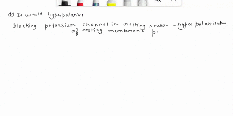 question-14-05-points-if-the-potassium-leak-channels-were-suddenly-blocked-in-a-resting-neuronwhat-would-happen-to-its-resting-membrane-potential-a-it-would-become-more-positive-b-t-would-be-37946