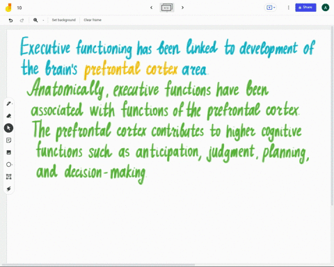 executive-functioning-has-been-linked-to-development-of-the-brains-_____-area-cerebellum-prefrontal-cortex-midbrain-hindbrain-74564