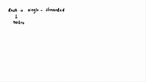 which-of-the-following-statements-regarding-rna-is-not-true-group-of-answer-choices-rna-is-predominantly-double-stranded-rna-nucleotides-are-connected-by-phosphodiester-bonds-rna-contains-th-43866