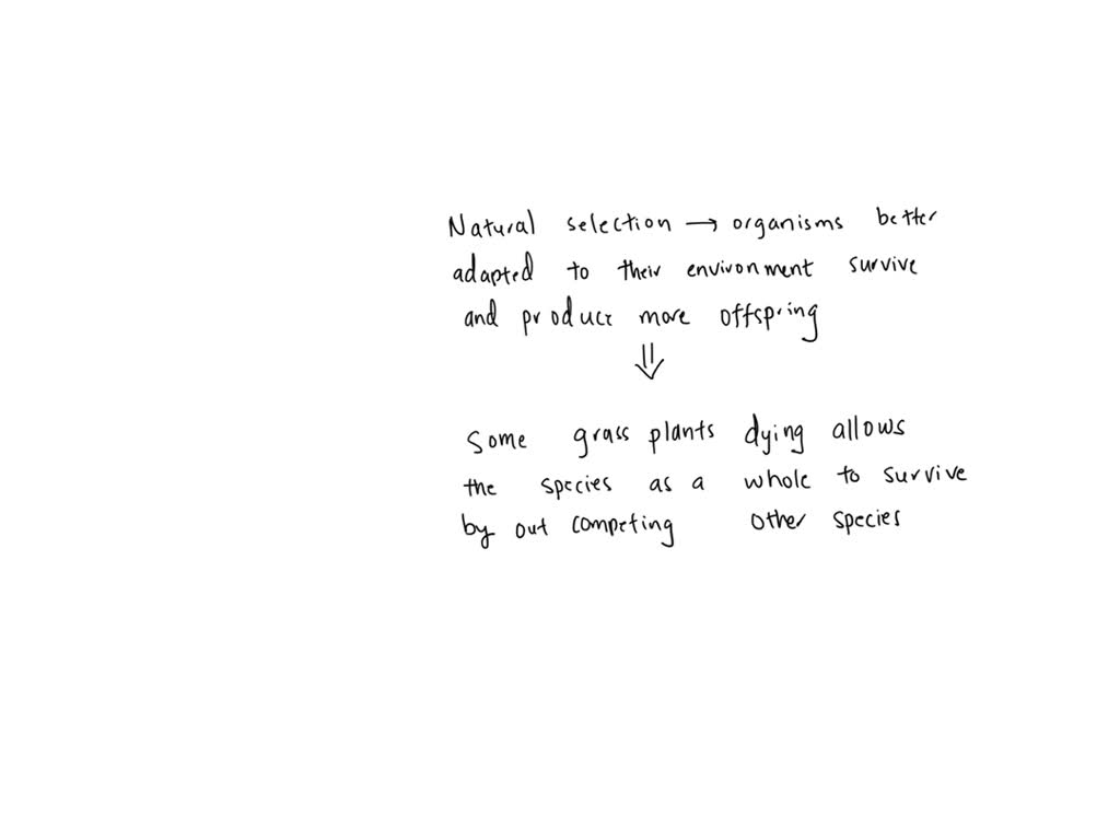 SOLVED The stems and leaves of many grasses, and sometimes the entire