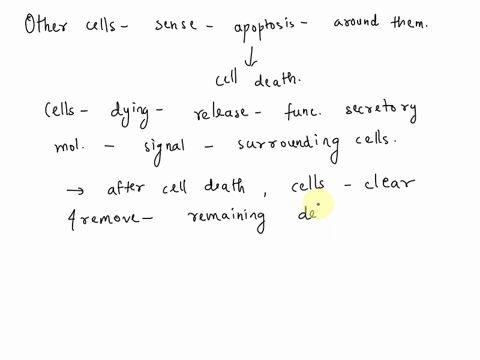 question-a-we-have-seen-several-examples-where-cells-can-sense-apoptosis-occurring-in-cells-around-them_-how-is-that-possible-is-it-acells-were-all-exposed-to-the-same-apoptosis-inducing-fac-89198